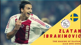 The Making of Zlatan Ibrahimovic ● Ajax 20012004 ● SkillsGoals ❌❌❌ 🇸🇪 [upl. by Riedel]