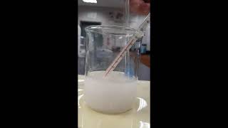 Sodium hydroxide dissolving in water [upl. by Ader]