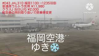 【JGC修行041043】10年に一度の大寒波が福岡空港にも！予定繰上げ羽田空港に帰還できるかの巻 [upl. by Graces]