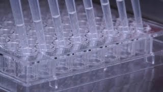 How to Perform SemiSolid Cloning of CHO Cell Lines in 96Well Plates Using ClonaCell™CHO Medium [upl. by Hester214]