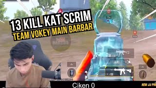 13 KILL KAT SCRIM  TEAM VOKEY MAIN BARBAR [upl. by Orecul]