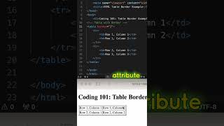 HTML Coding QampA 19 Add a border to a table in HTML html htmlcoding css shorts [upl. by Negyam253]