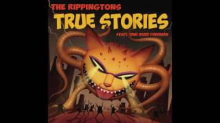 The Rippingtons  Wild Tales  New album True Stories Out Now [upl. by Bedad594]