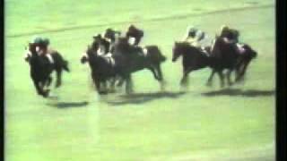 Horse Racing 1971 2000 Guineas Newmarket Brigadier Gerard amp Mill Reef [upl. by Eceinhoj]