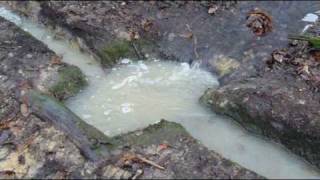 Unblocking a Culvert in the Woods [upl. by Athena]