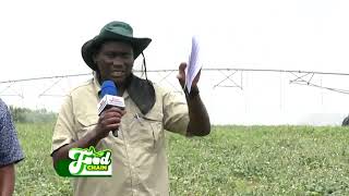 Exploring AgricTechnology In Seed Production  Food Chain on Joy Business25522 [upl. by Valoniah599]