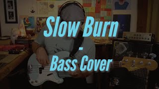 Slow Burn  Kacey Musgraves Bass Cover [upl. by Anivid]