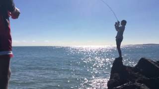 Fishing at Yeppoon harbour with flashers [upl. by Erehs]