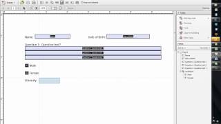 How to create a fillable form using Word 2010 and Adobe Acrobat Professional X [upl. by Barrow]