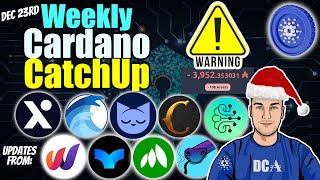 Cardano Updates Launches SCAMs and Important Warnings [upl. by Bethina]