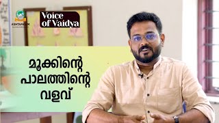 മൂക്കിന്റെ പാലത്തിന് ഉണ്ടാകുന്ന വളവ് Deviated Nasal Septum Dr Aswin T Das [upl. by Karim143]