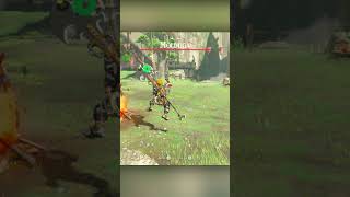 Invisible Molduga BOTWTOTK botw breathofthewildgameplayloz tearsofthekingdom totk randomizer [upl. by Mollie807]