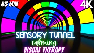 Autism Calming Music Colorful Visual Therapy Tunnel [upl. by Vernier]