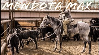 Horse trading on the ranch horses ranch deerhunting [upl. by Bocock480]