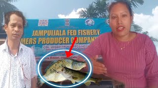 Jampuijala Fed Fisheries Farmers Producer Company Limited Lukurok Noh Kok Kaham Kucharkha MD [upl. by Htelimay583]