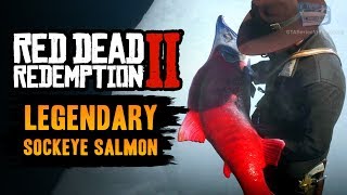 Red Dead Redemption 2 Legendary Fish  Legendary Sockeye Salmon [upl. by Mcclenaghan]