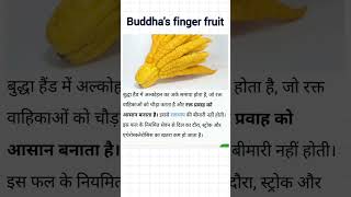 Buddhas finger fruitfruitshots shortvideo shortsvideo shortsfeed shorts youtubeshortsIndia [upl. by Anaujahs573]