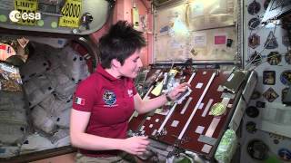 Space snack time with Samantha Cristoforetti [upl. by Nerat]