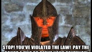 Oblivion Stop you violated the law [upl. by Acemat]