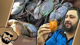 Crispy Crab Balls Mudcrab Catch amp Cook [upl. by Notluf]