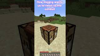 How Mojang wants us to react to conduits [upl. by Ondine712]