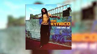 Doc Gynéco  Big Up Audio officiel [upl. by Eehc]