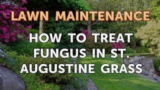 How to Treat Fungus in St Augustine Grass [upl. by Sibyl744]