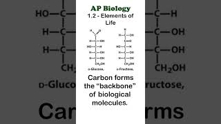 AP Bio 12  Carbon apbiology biochemistry [upl. by Ahtnams]