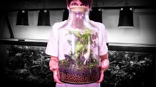 Jumbo 5 Gallon Closed Terrarium Build [upl. by Palecek]