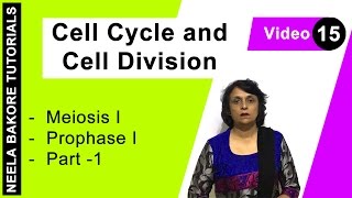 Cell Cycle amp Cell Division  NEET  Meiosis I  Prophase I  Part  1  Neela Bakore Tutorials [upl. by Palecek239]