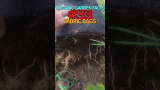 Organic Garden Facts 33 riverbearaquaponics garden organicfarming [upl. by Odidnac]