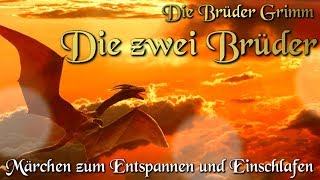 Die zwei Brüder  KHM 060  Hörbuch deutsch Märchen der Brüder Grimm [upl. by Nonnahc]