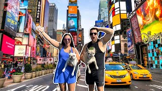 MOVING TO NEW YORK CITY… With Our French Bulldogs [upl. by Joellyn998]