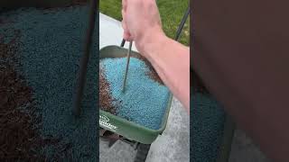 Reseeding my lawn after sand leveling pt 6 lawn diy [upl. by Nerrol]