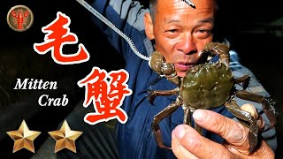 野味51集  毛蟹  乾燒 清蒸 蟹膏  Mitten crab  萍哥Pinger [upl. by Sseb]