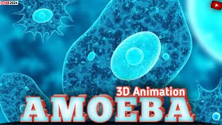 NUTRITION IN AMOEBA 3danimation neet MagnetBrainsEducation PWFoundation video [upl. by O'Grady429]