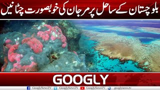 Balochistan Kai Sahil Per Marjan Ki Khubsurat Chatanain  Googly News TV [upl. by Rebmeced]