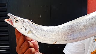 Ribbonfish Cutting And Filleting Snake Fish [upl. by Zigmund400]