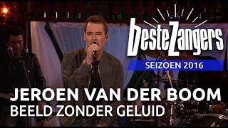 Jeroen van der Boom  Beeld zonder geluid  Beste Zangers 2016 [upl. by Kalin]