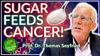 025 How KETO DIET Works in CANCER – Prof Dr THOMAS SEYFRIED Full Interview [upl. by Arannahs]