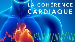 💓 La cohérence cardiaque  un exercice simple pour retrouver léquilibre [upl. by Cnut]