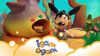 Igam Ogam Dont touch S2 E17  WikoKiko Kids TV [upl. by Yecram528]