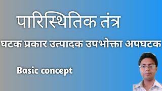 पारिस्थितिक तंत्रपारितंत्र  Ecosystem components structure and function Type Class12 [upl. by Olnay]