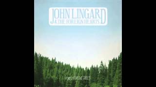 Forest For The Trees  John Lingard amp The Foreign Hearts [upl. by Vasta]