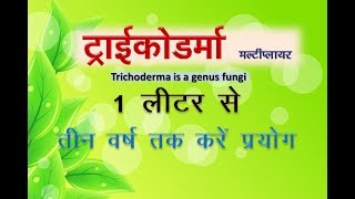 Trichoderma fungi liquid  ट्राइकोडर्मा तरल के 1 लीटर से तीन साल तक करे प्रयोग [upl. by Aninotna]