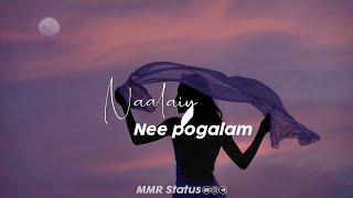 Tamil Whatsapp Status  Love Songs New  Love Whatsapp Status Tamil  female version status tamil [upl. by Isnyl690]