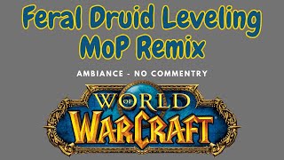 World of Warcraft ASMR  Leveling in MoP Remix  Feral Druid [upl. by Arbma325]