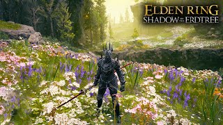 How to Get to Hinterland  Elden Ring Shadow of the Erdtree Location amp Guide [upl. by Orsa]