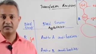 Blood Typing and Agglutination Reactions [upl. by Llenrag461]