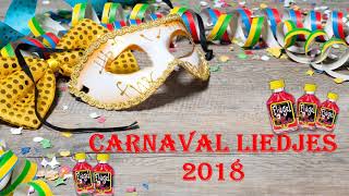 Carnaval liedjes 2018 [upl. by Ierbua708]